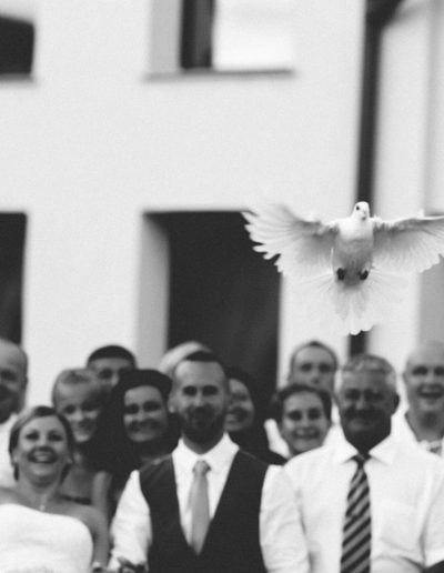 esküvői fotózás galamb